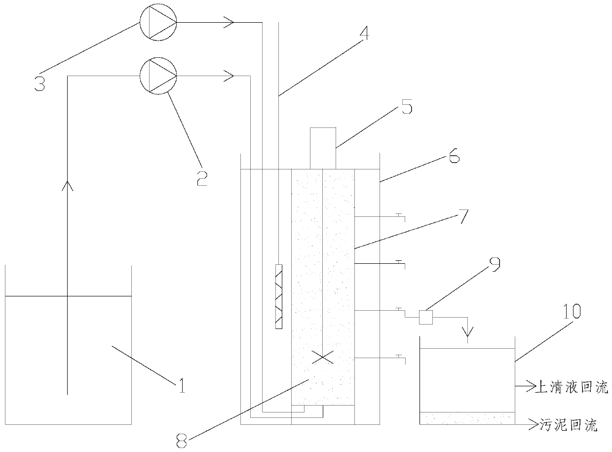 Nitrospira granular sludge culture method and device