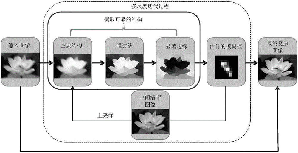 Regularization fuzzy kernel estimation method based on mixed order L0