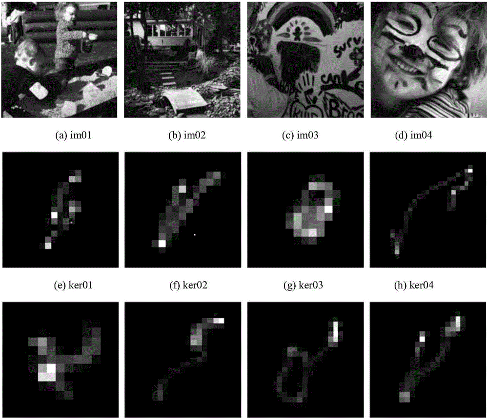 Regularization fuzzy kernel estimation method based on mixed order L0