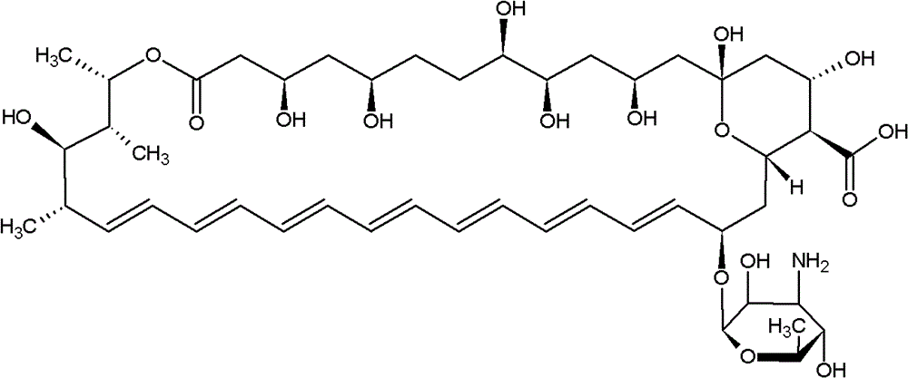 Technology for purifying medicines for treating deep fungal infection