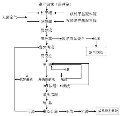 Isoleucine fermenting process