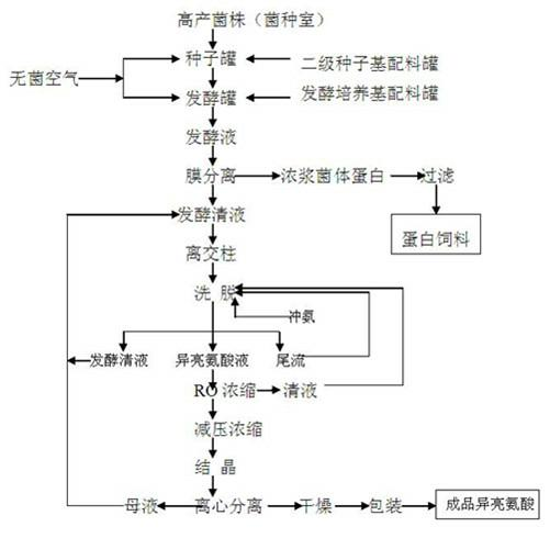 Isoleucine fermenting process