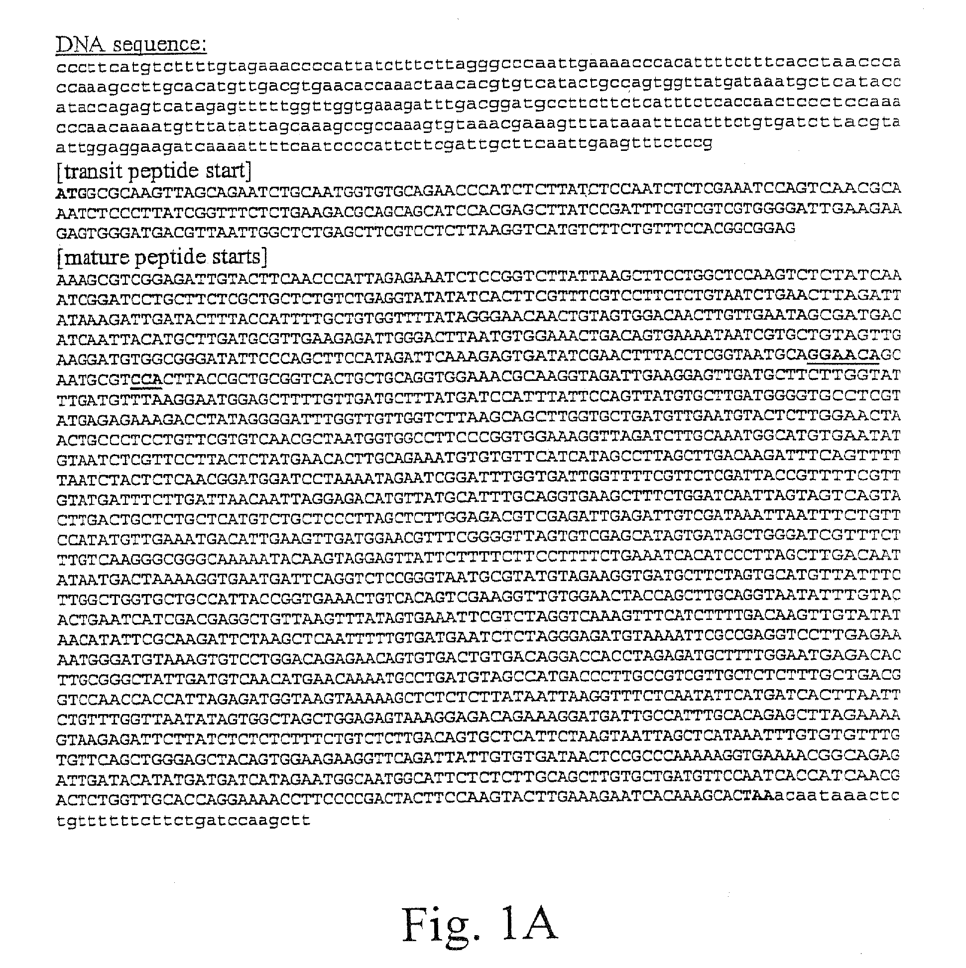 Non-Transgenic Herbicide Resistant Plants