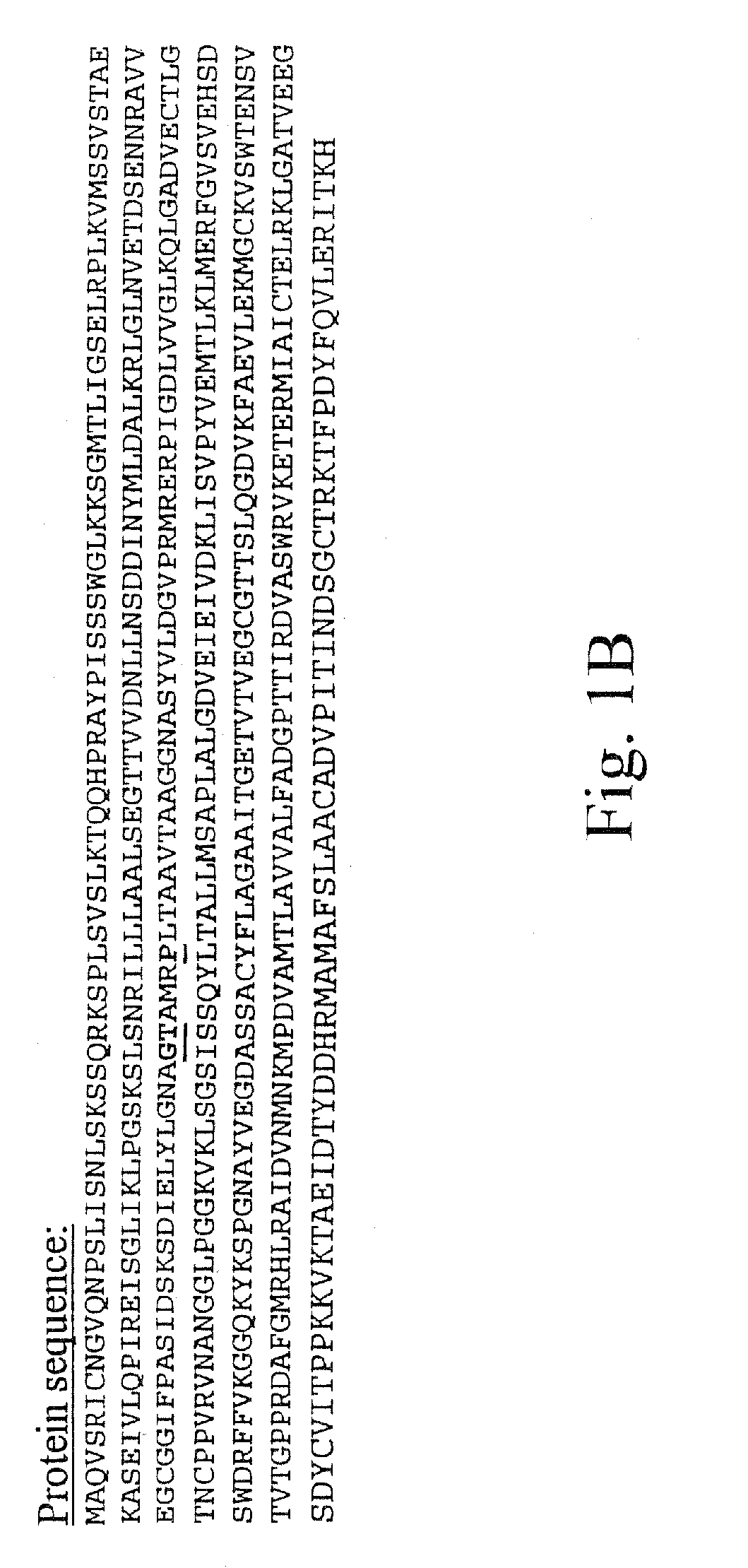 Non-Transgenic Herbicide Resistant Plants