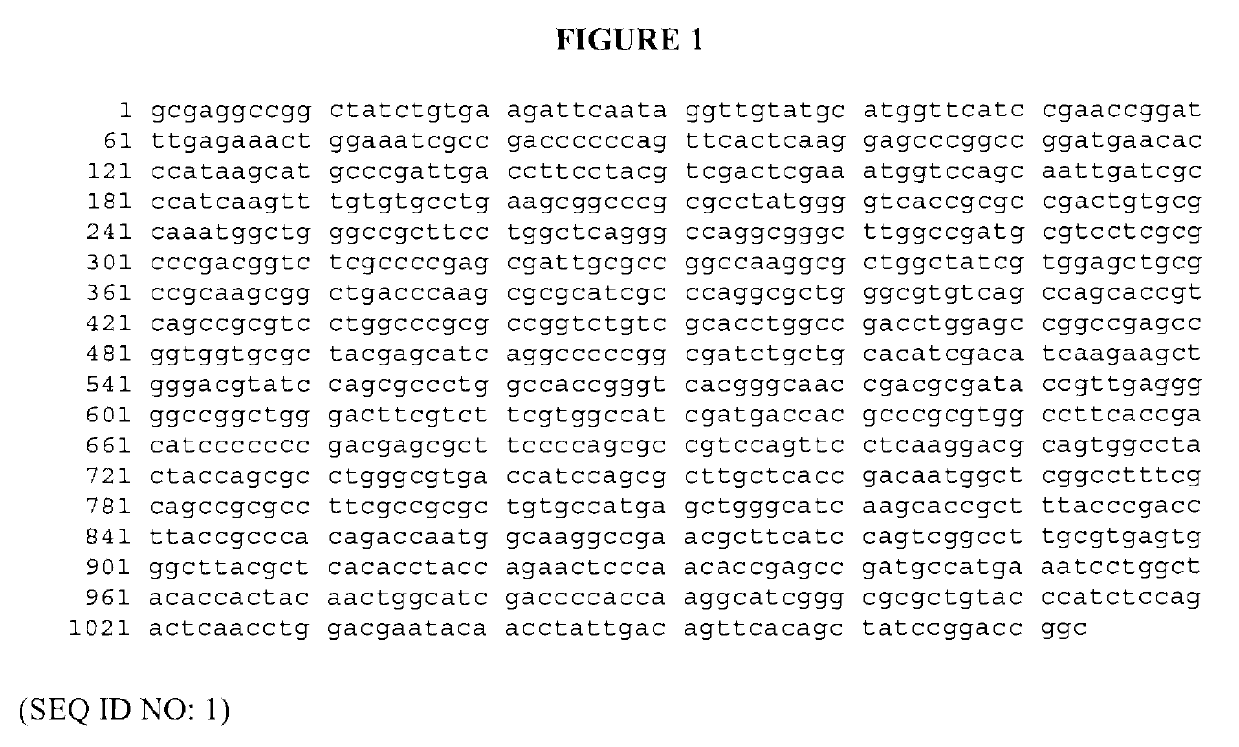 <i>Bordetella </i>detection assay