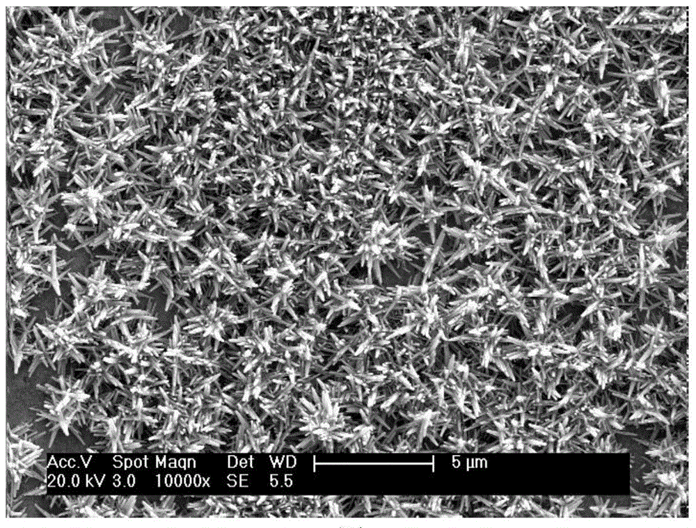 A low-temperature liquid-phase growth method for preparing zno nanocone arrays