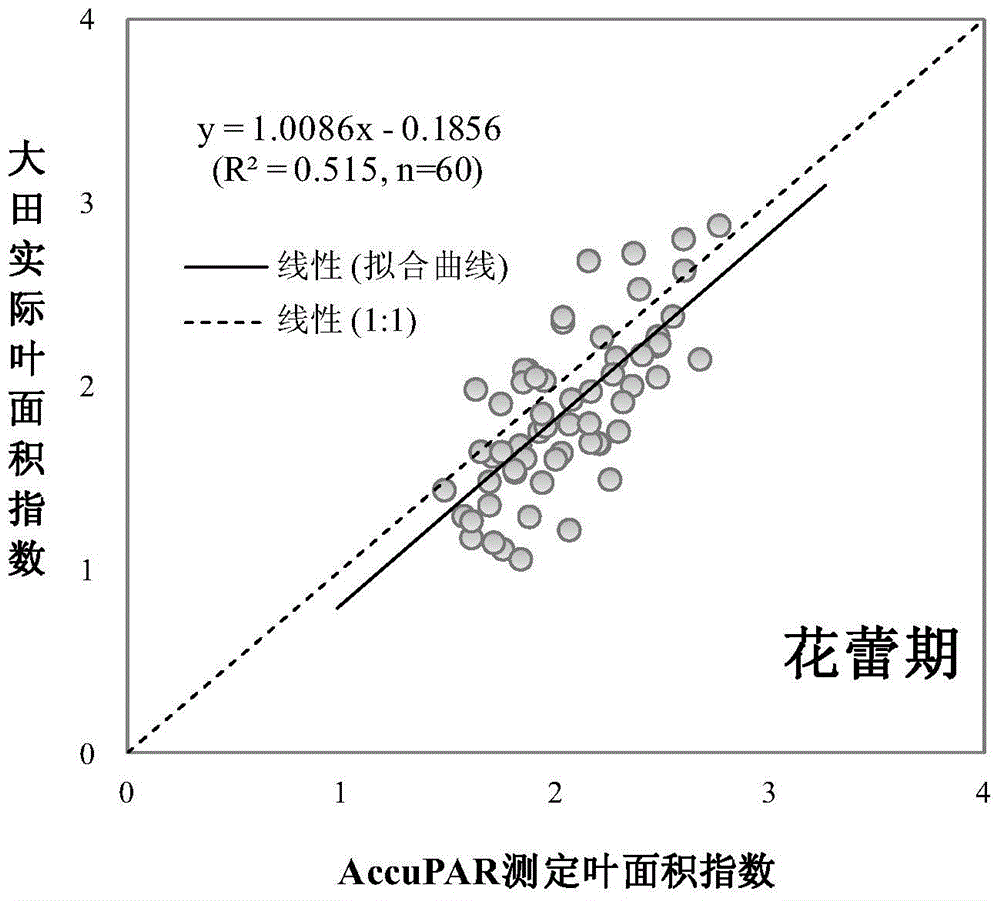 A rapid and non-destructive method for measuring cotton leaf area index