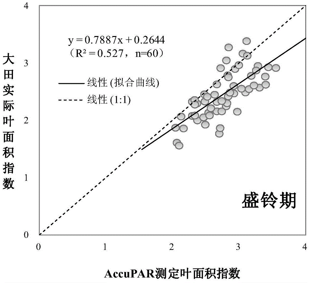 A rapid and non-destructive method for measuring cotton leaf area index