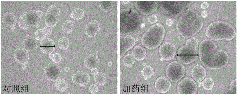 Application of selenomethionine