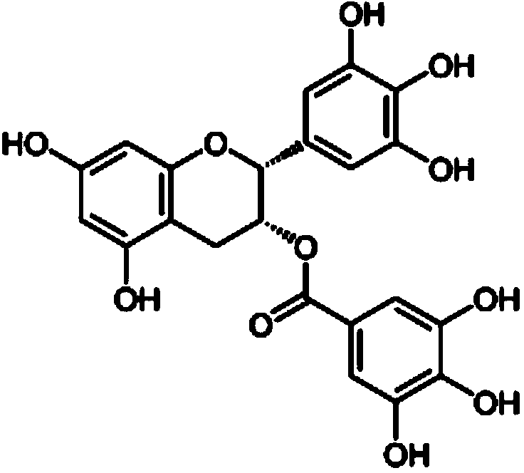 Tea extract-containing microemulsion, preparation method and applications thereof