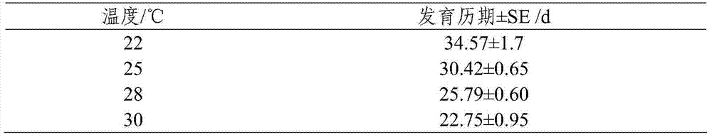 Artificial feeding method of fragrant pear euzophera pyriella