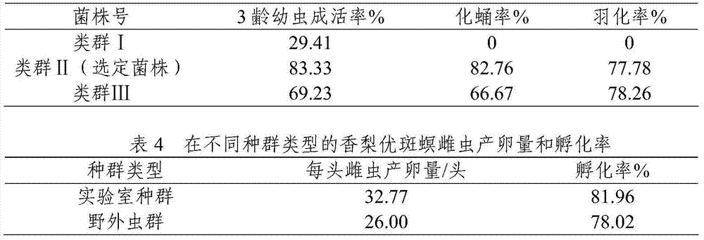 Artificial feeding method of fragrant pear euzophera pyriella