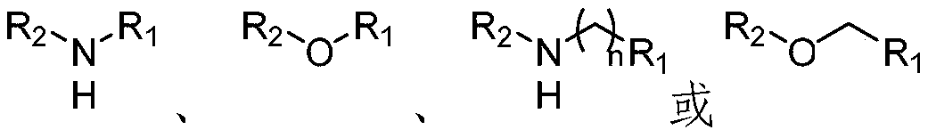 Protein quantitative labeling reagent and preparation method and application thereof