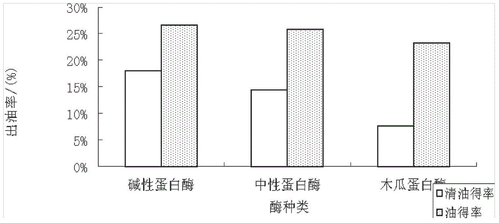 Compound technology for extracting tea seed oil employing aqueous enzymatic method