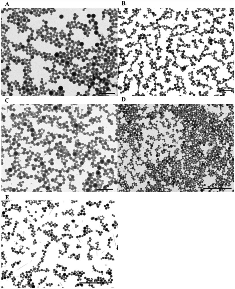 Double-loaded nano-pesticide sustained-release capsules for preventing and treating rice sheath blight and preparation method thereof