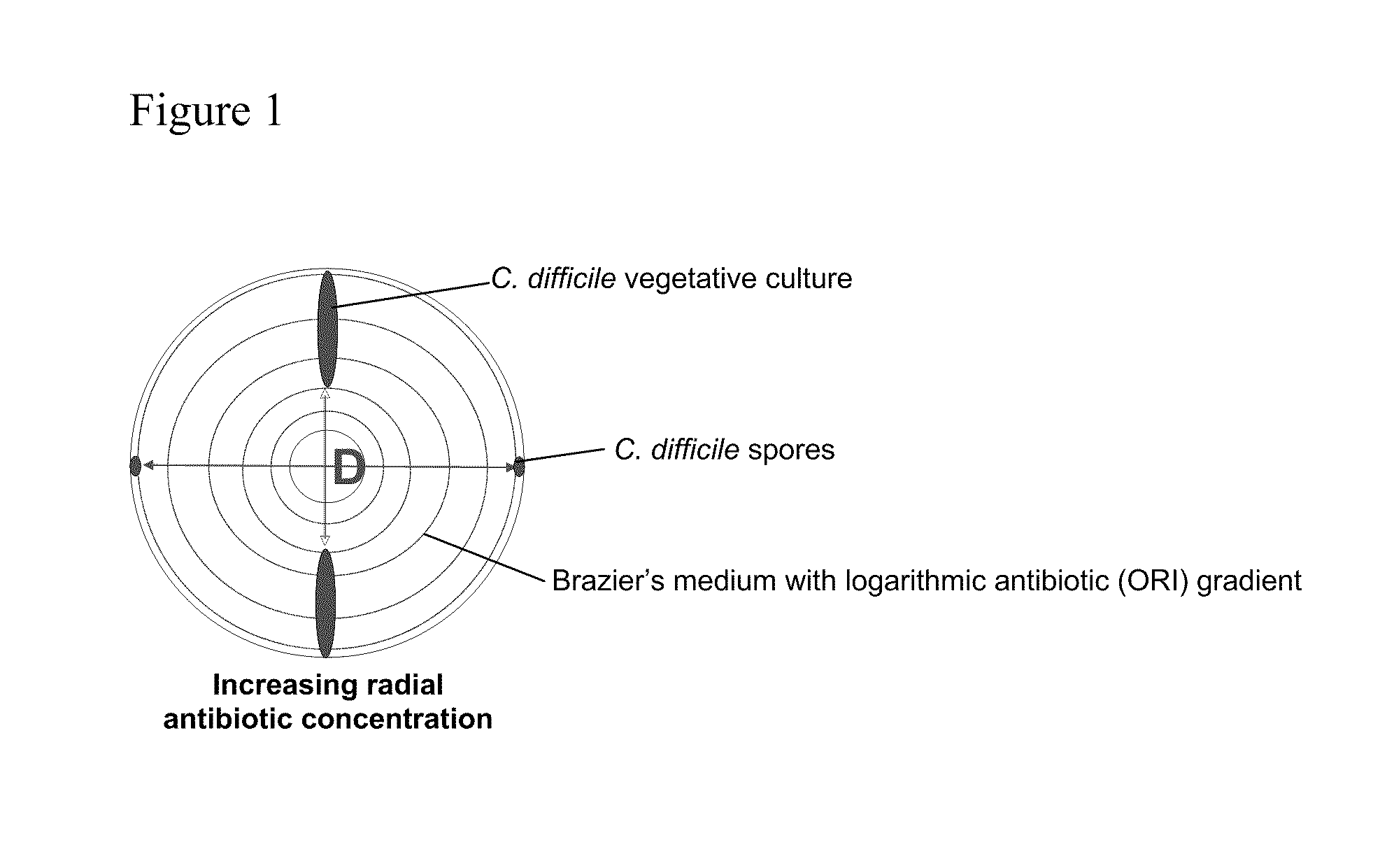 Method of inhibiting clostridium difficile by administration of oritavancin