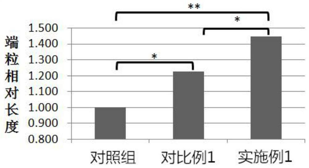 NMN formula product for prolonging chromosome telomere and preparation method thereof