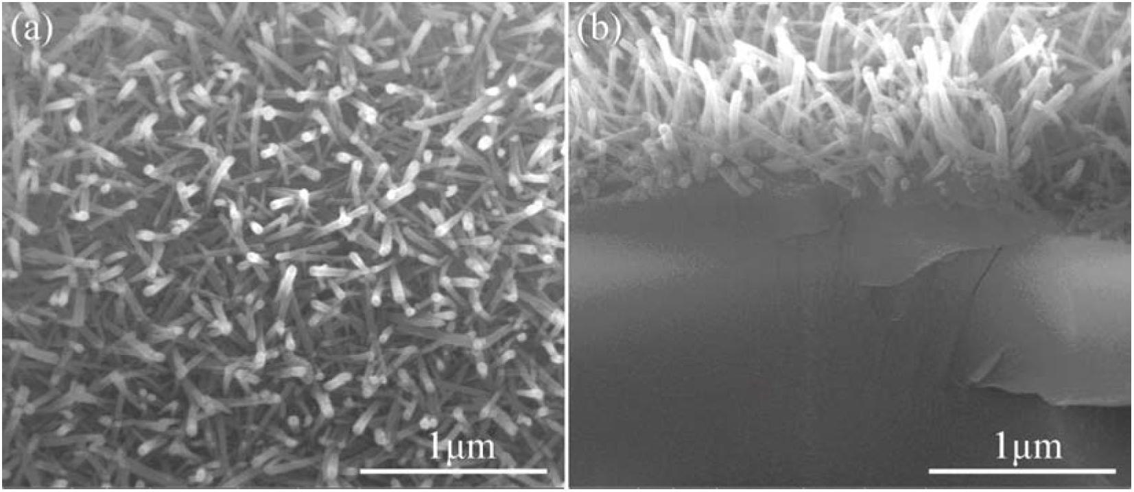 Preparation technology of porous calcium gluconate tantalite/nono-funicular hydroxylapatite bioactive coating