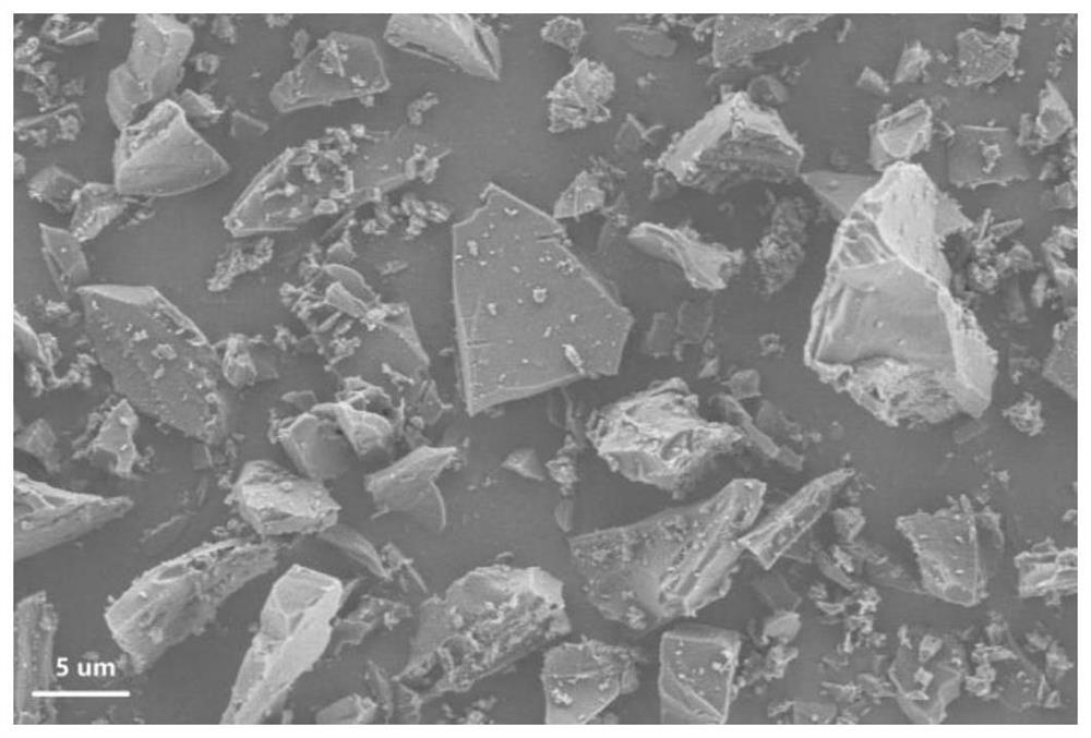 Hard carbon negative electrode material of sodium-ion battery based on shell biomass and preparation method of hard carbon negative electrode material