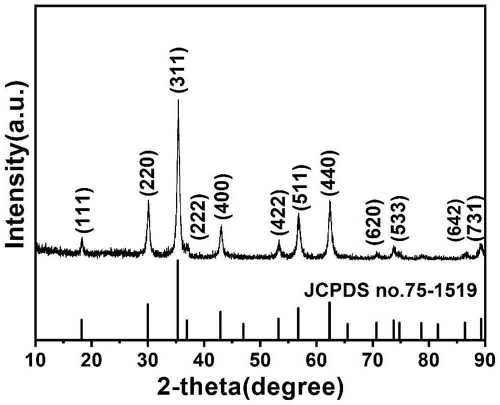 Fe2VO4/ordered mesoporous carbon composite material and application thereof