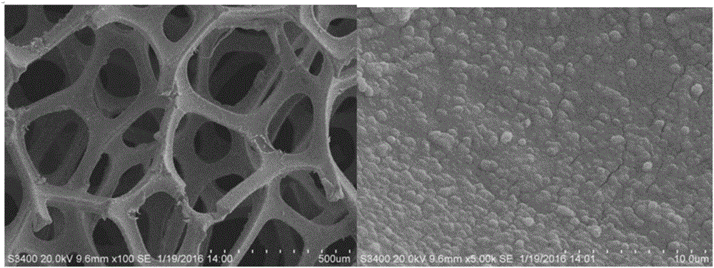 Electrocatalytic dechlorination method for parachloronitrobenzene