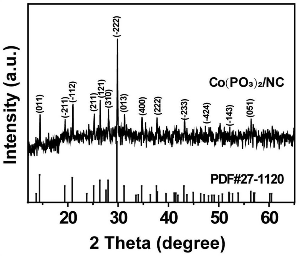 Cobalt metaphosphate/nitrogen carbon oxygen reduction catalyst and preparation method and application thereof