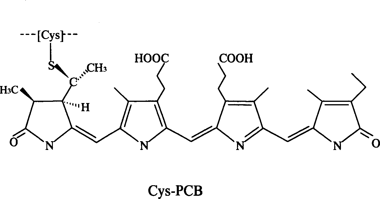 Production technology of allophycocyanin and crystal and product thereof