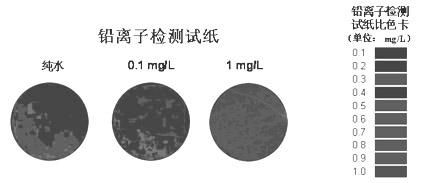 Indicator fixation test paper for heavy metal ion detection, preparation thereof and application thereof