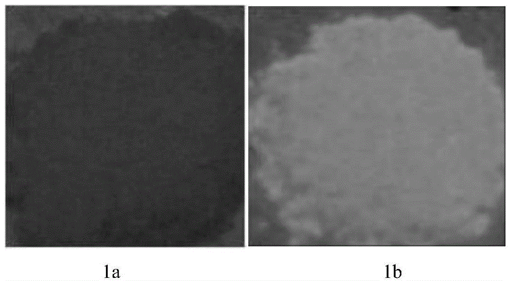 Nano L-type zeolite light-emitting material containing double-rare-earth Eu&lt;3+&gt;/Tb&lt;3+&gt;-beta-dione complex and application thereof