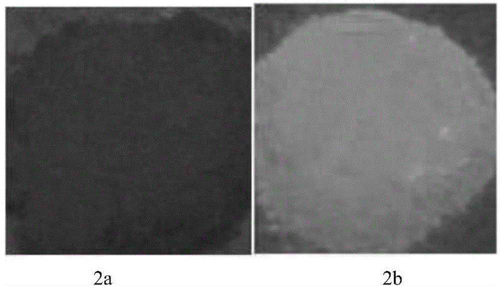 Nano L-type zeolite light-emitting material containing double-rare-earth Eu&lt;3+&gt;/Tb&lt;3+&gt;-beta-dione complex and application thereof