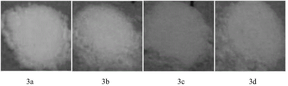 Nano L-type zeolite light-emitting material containing double-rare-earth Eu&lt;3+&gt;/Tb&lt;3+&gt;-beta-dione complex and application thereof