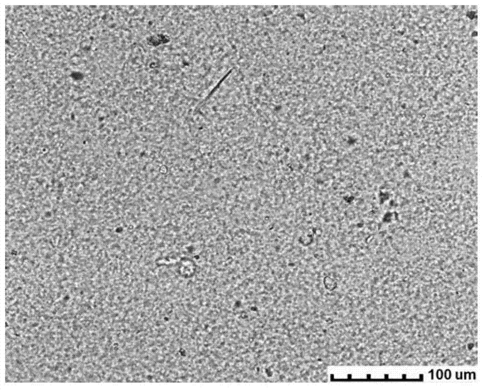 High amylase corn starch paste and preparation method thereof