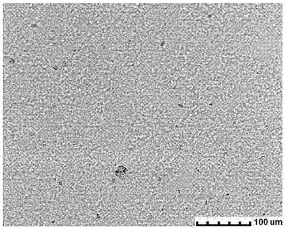 High amylase corn starch paste and preparation method thereof