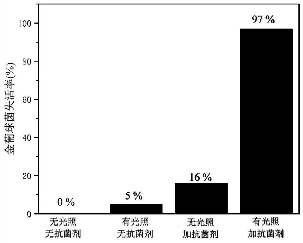 Carbon quantum dot doped carbon nitride composite nano material with photocatalytic antibacterial performance as well as preparation method and application thereof