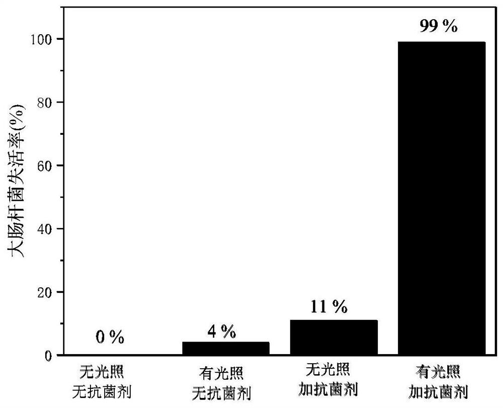 Carbon quantum dot doped carbon nitride composite nano material with photocatalytic antibacterial performance as well as preparation method and application thereof