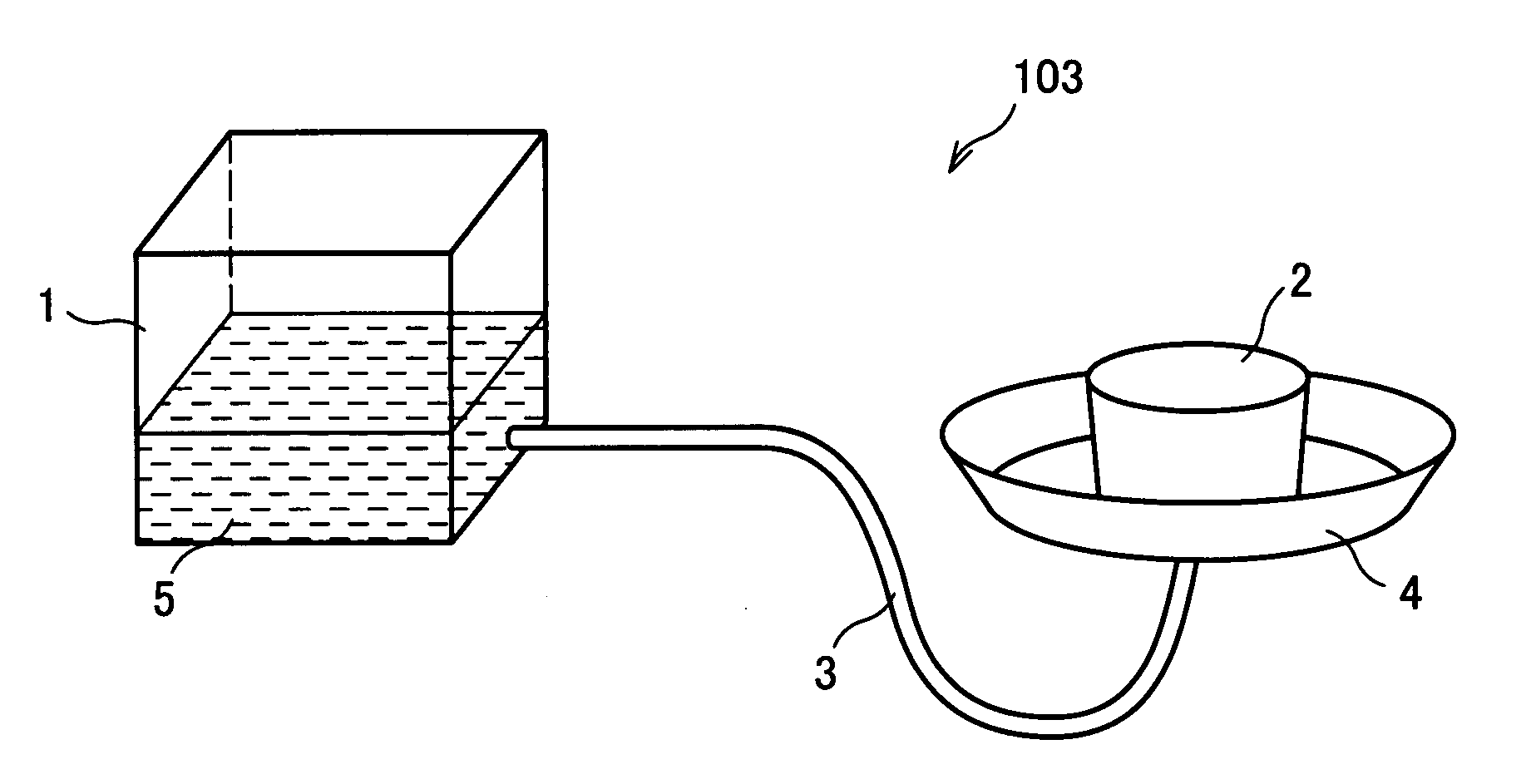 Feeding Method And Apparatus For Breeding Natural Enemy Insects And Rearing Method For Breeding Natural Enemy Insects