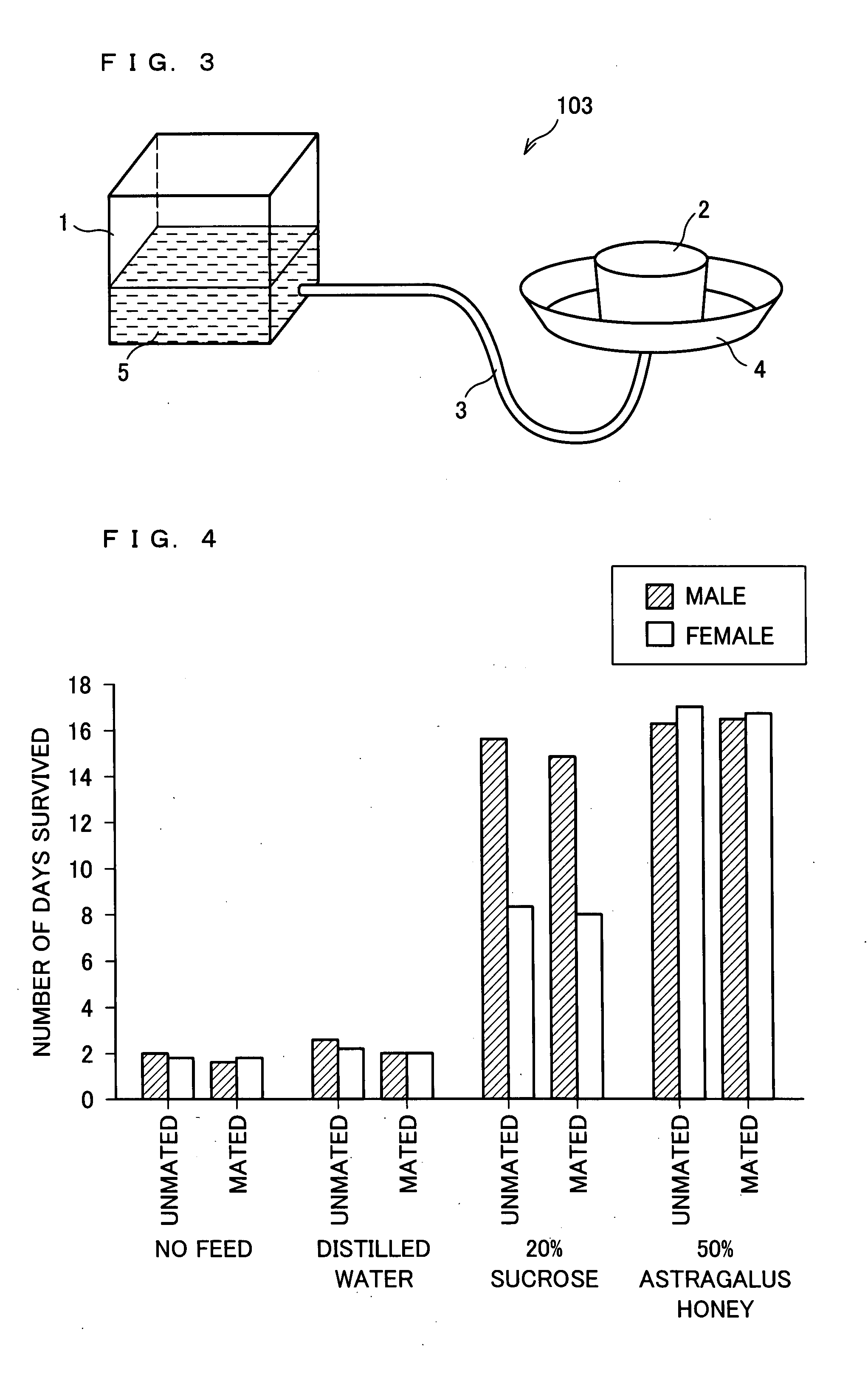 Feeding Method And Apparatus For Breeding Natural Enemy Insects And Rearing Method For Breeding Natural Enemy Insects