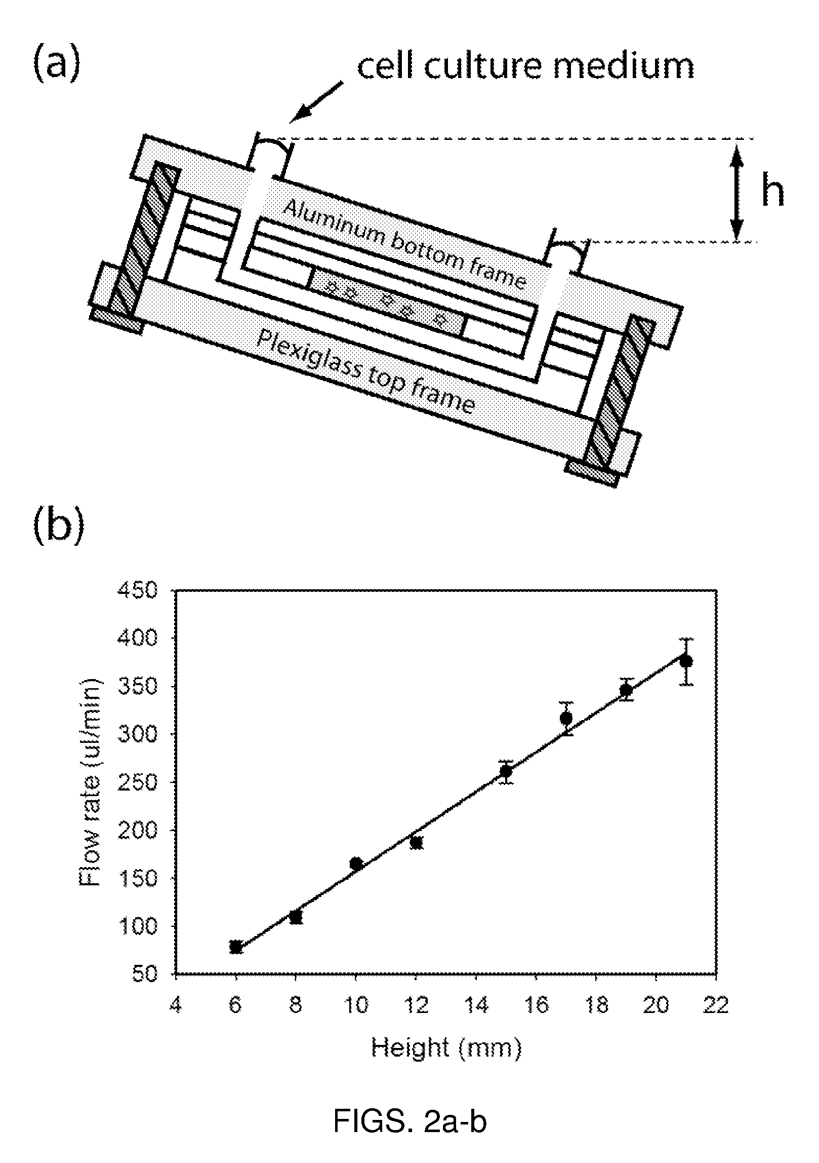 Microfluidic device for pharmacokinetic-pharmacodynamic study of drugs and uses thereof