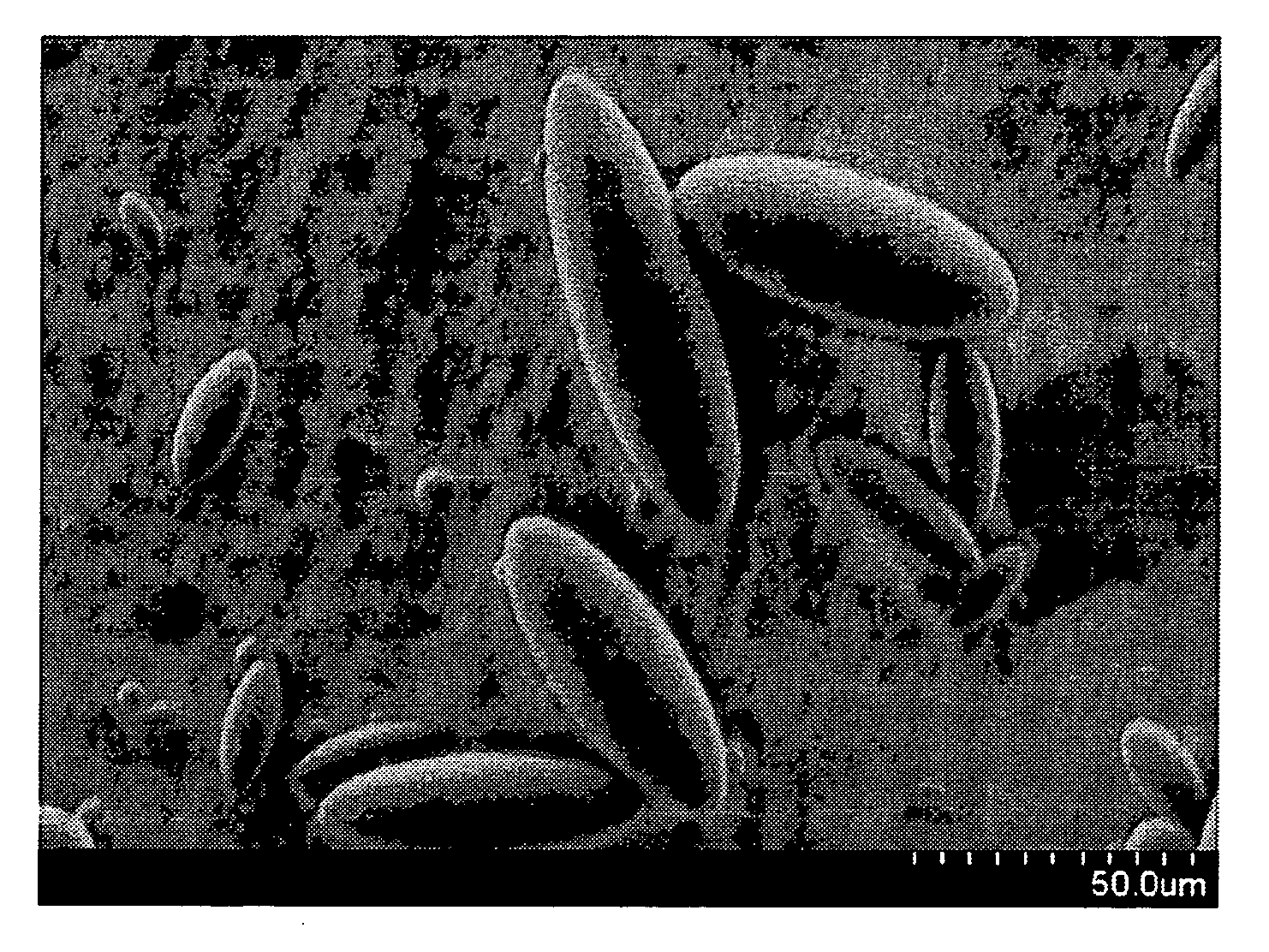 Oval-spherical organic polymer particles and method of production