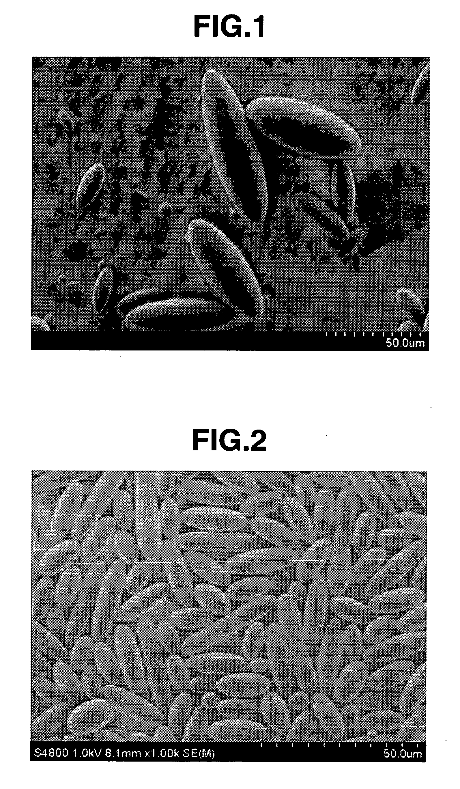 Oval-spherical organic polymer particles and method of production