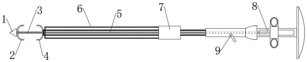 Endoscopic lower intestinal tract anastomotic stoma stenosis resection device