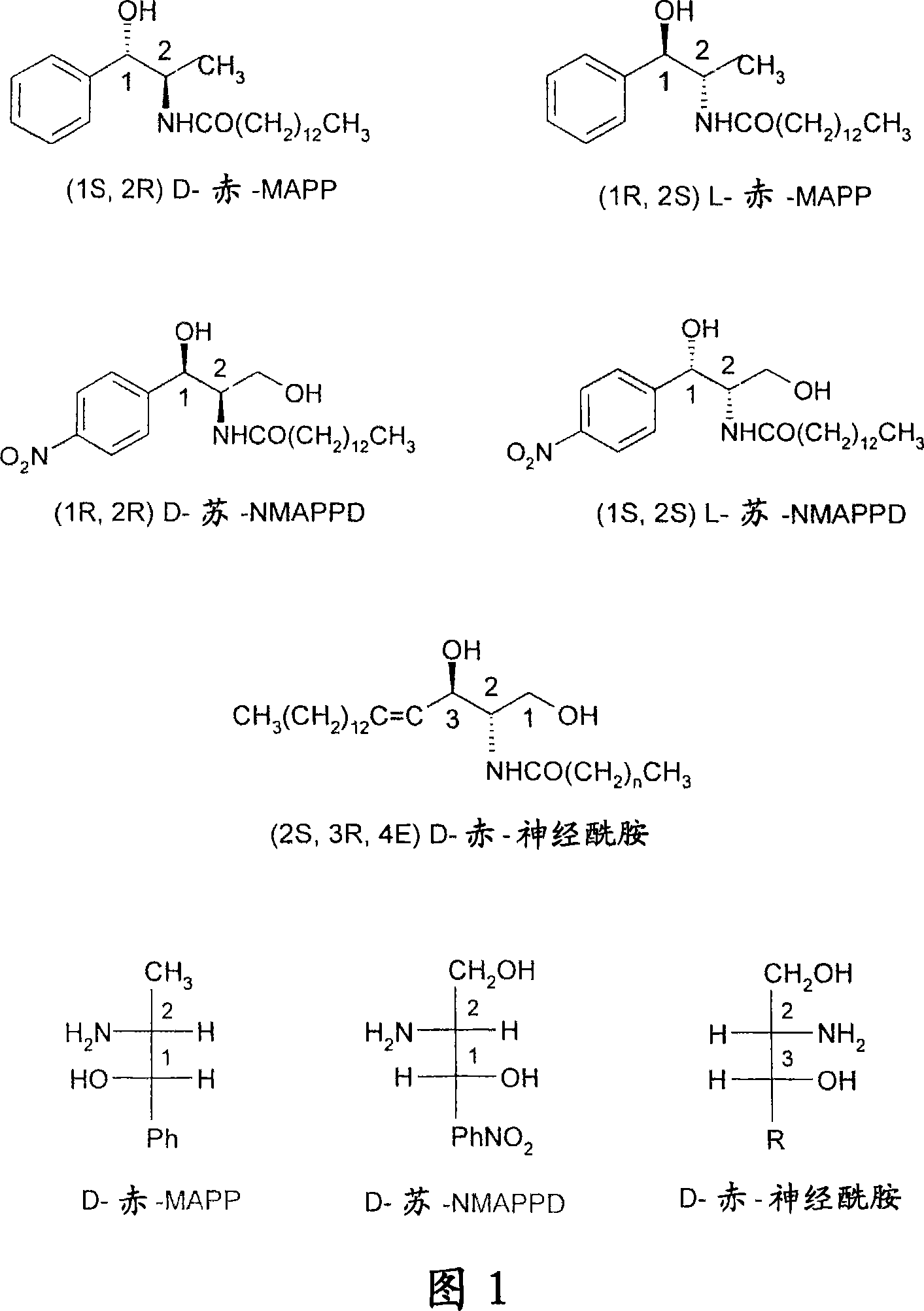 Inhibitors of anorexic lipid hydrolysis for the treatment of eating disorders