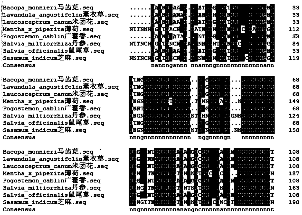 PcFPS gene primer pair and application of gene amplified by primer pair to increase of content of patchouli alcohol in pogostemon cablin