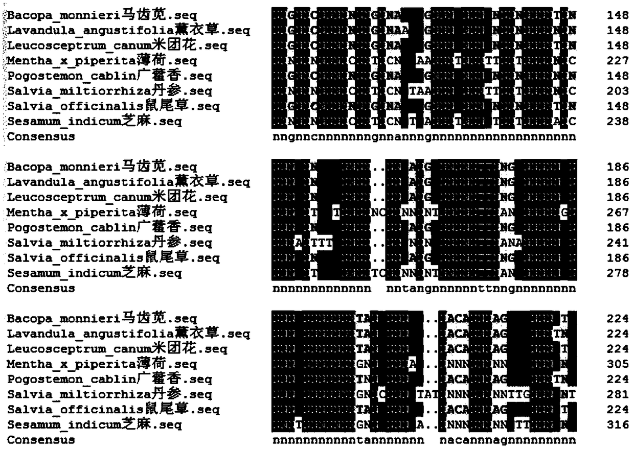 PcFPS gene primer pair and application of gene amplified by primer pair to increase of content of patchouli alcohol in pogostemon cablin