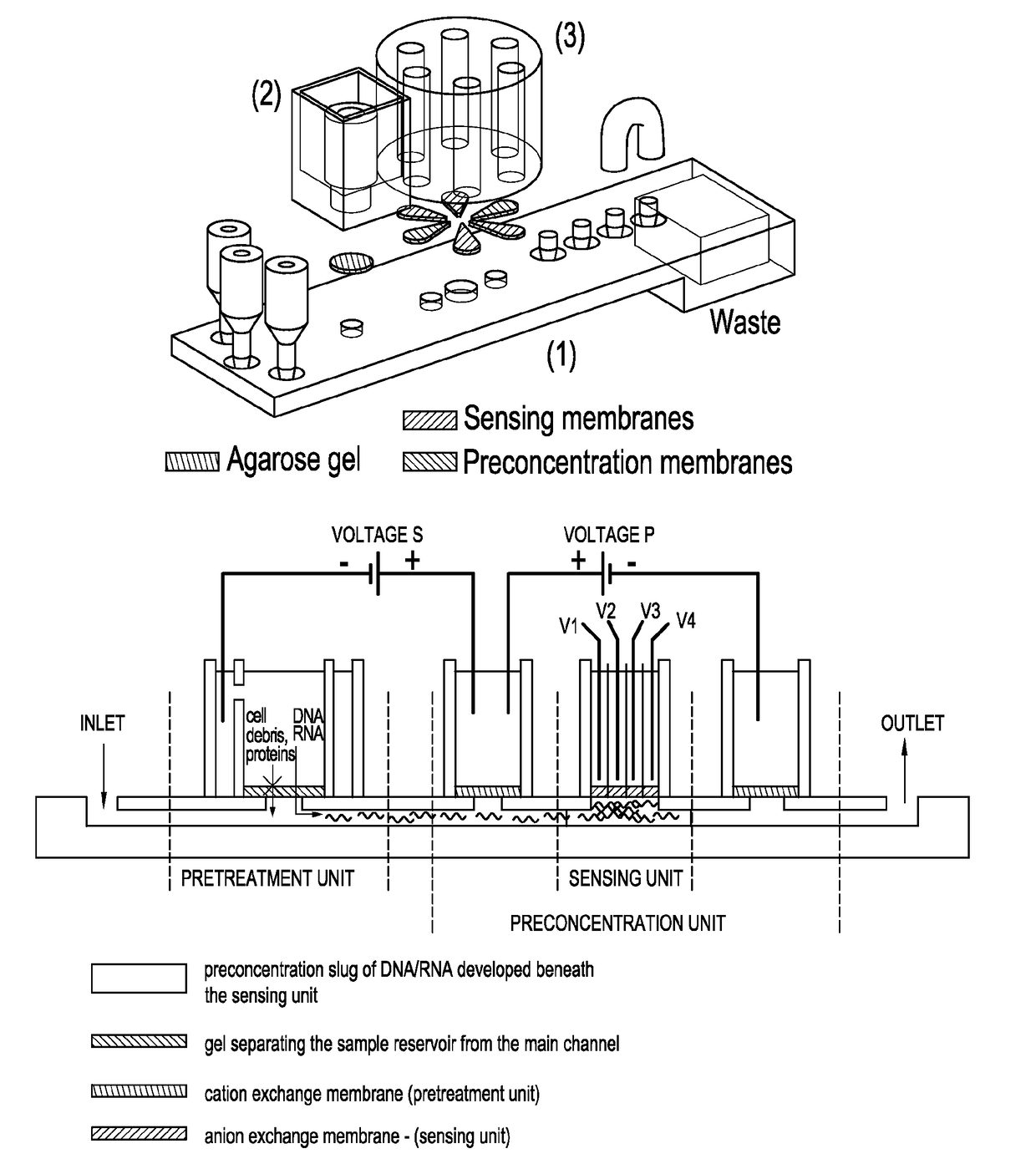 Integrated membrane sensor for rapid molecular detection