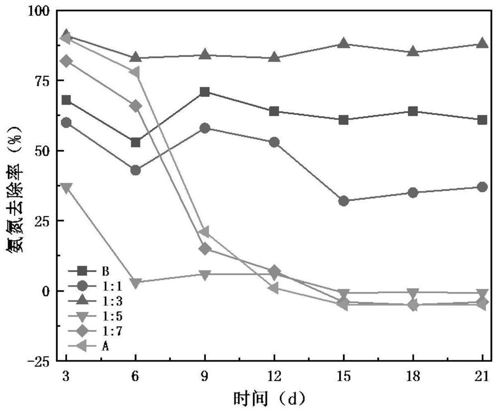 Bacteria-algae composition for synergistically degrading high-concentration ammonia nitrogen and phosphate as well as application and method thereof