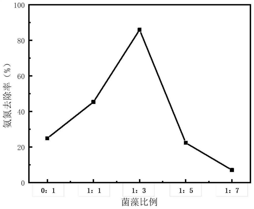 Bacteria-algae composition for synergistically degrading high-concentration ammonia nitrogen and phosphate as well as application and method thereof