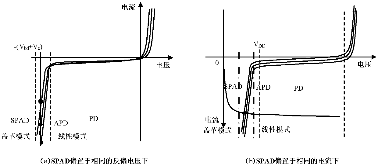 Self-adaptive adjustment circuit for gain of array single-photon avalanche photodiode