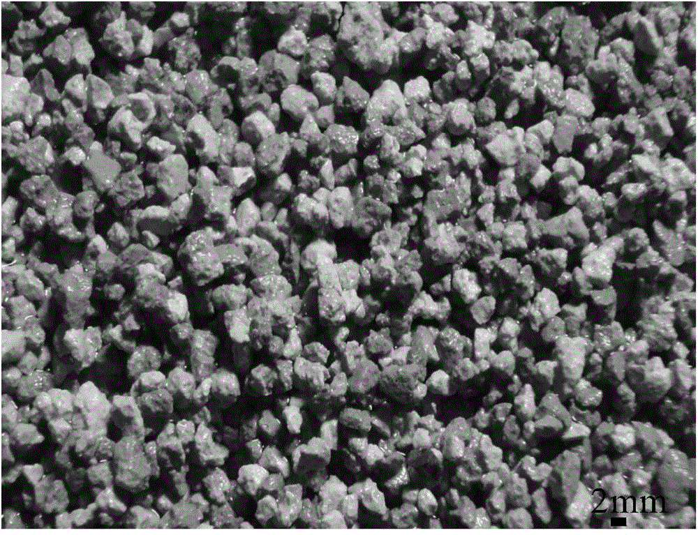 Filter material for sewage treatment and preparation method for filter material for sewage treatment