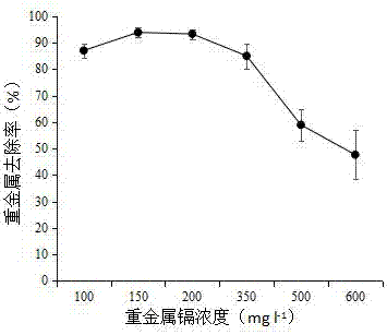 Macromolecular biochar sphere-immobilized microalgal composite adsorbent and preparation and application thereof